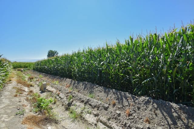 Finca/Landhuis te koop in Belicena, Vegas del Genil - € 32.500 (Ref: 7043489)