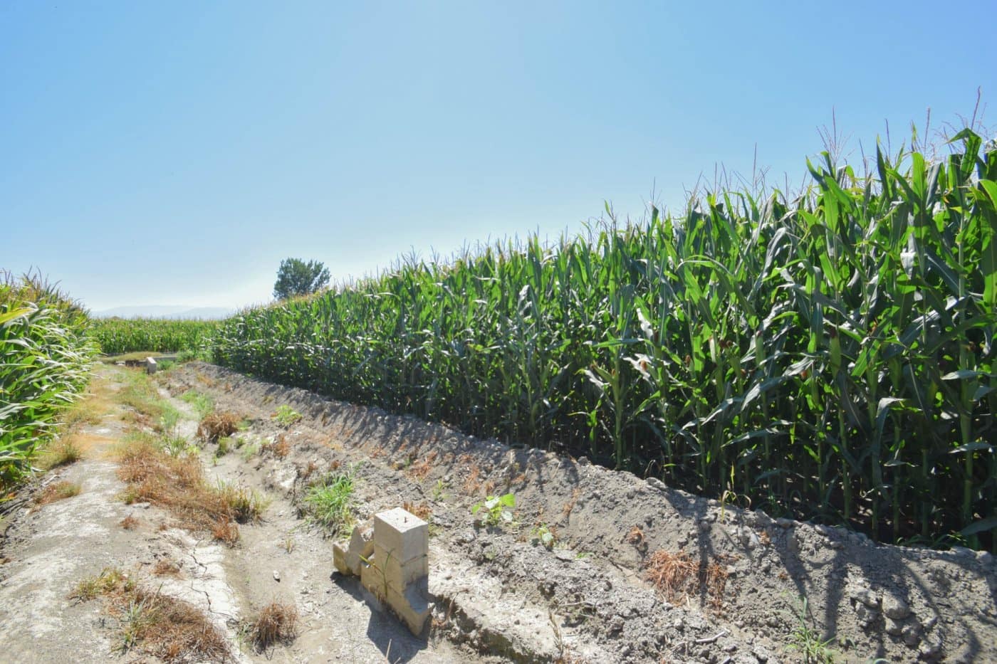 Finca/Casa di Campagna in vendita in Belicena - 32.500 € (Rif: 7043489)