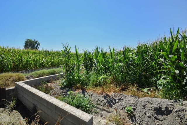 Finca/Landhuis te koop in Belicena, Vegas del Genil - € 32.500 (Ref: 7043489)