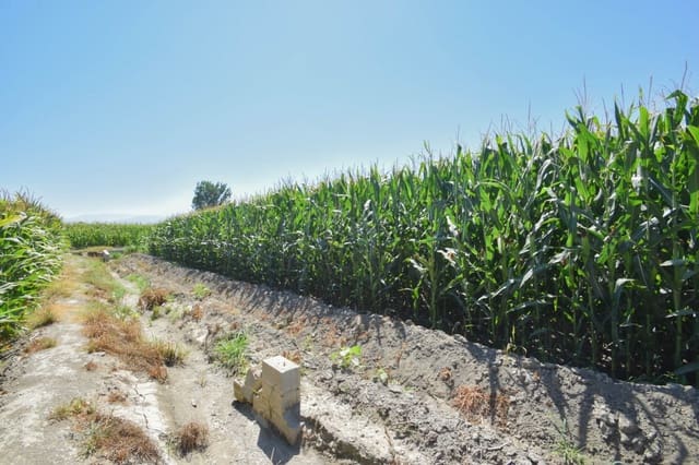 Finca/Landhuis te koop in Belicena, Vegas del Genil - € 32.500 (Ref: 7043489)