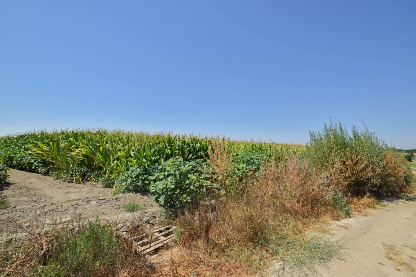 Finca/Casa di Campagna in vendita in Belicena - 65.000 € (Rif: 7043490)