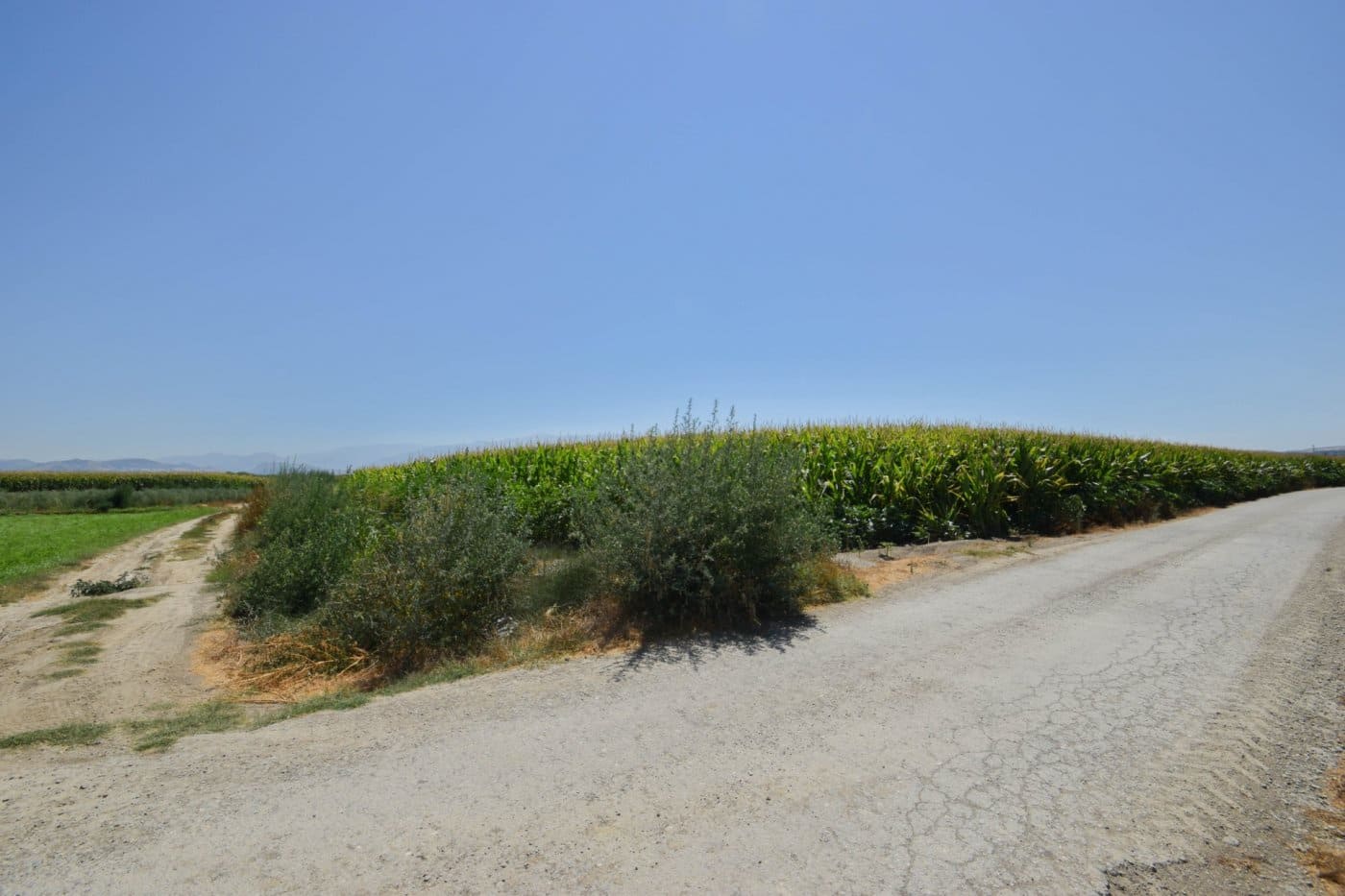 Finca/Casa di Campagna in vendita in Belicena - 65.000 € (Rif: 7043490)