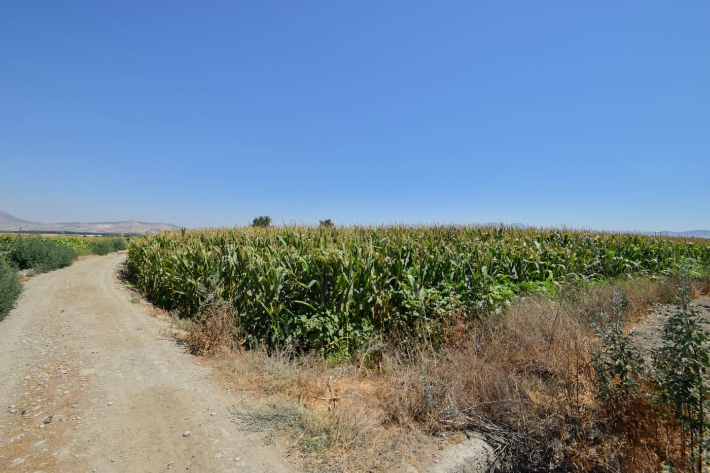 Finca/Casa di Campagna in vendita in Belicena - 65.000 € (Rif: 7043490)