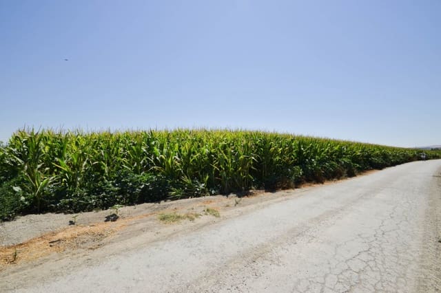 Finca/Landhuis te koop in Belicena, Vegas del Genil - € 65.000 (Ref: 7043490)