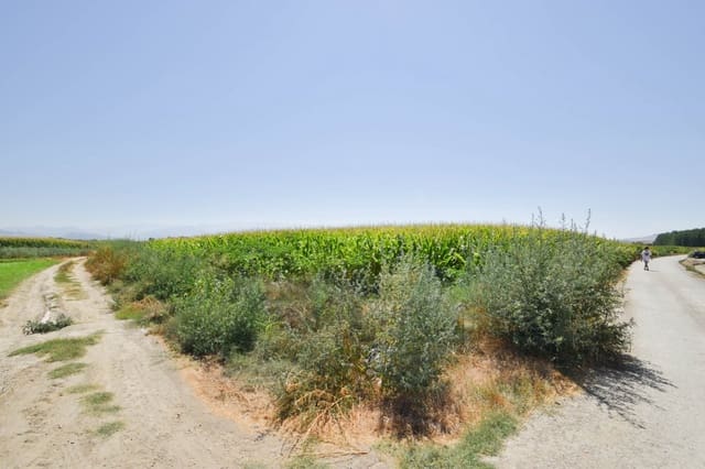 Finca/Landhuis te koop in Belicena, Vegas del Genil - € 65.000 (Ref: 7043490)