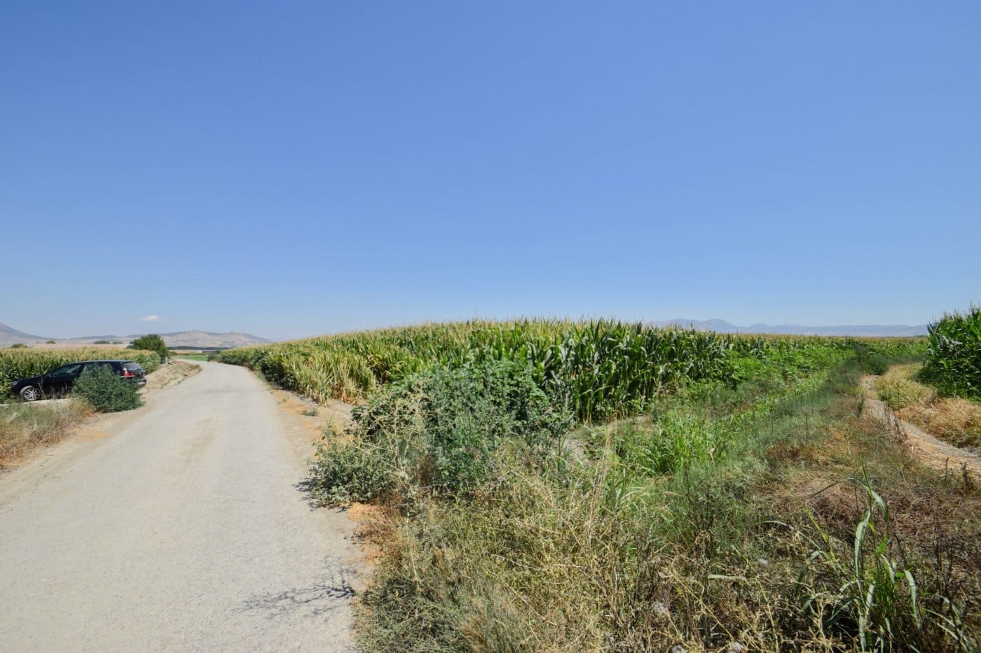 Finca/Casa di Campagna in vendita in Belicena - 65.000 € (Rif: 7043490)