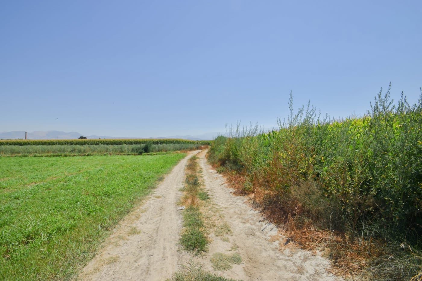 Finca/Casa di Campagna in vendita in Belicena - 65.000 € (Rif: 7043490)