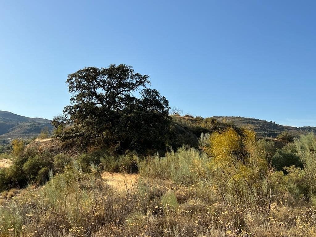 Finca/Maison de Campagne à vendre à El Valle - 19 000 € (Ref: 7336140)