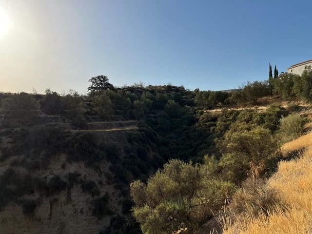 Finca/Landehus til salg i El Valle - € 19.000 (Ref: 7336140)