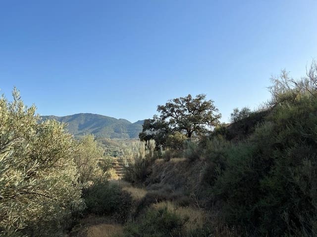 Finca/Landehus til salg i El Valle - € 19.000 (Ref: 7336140)