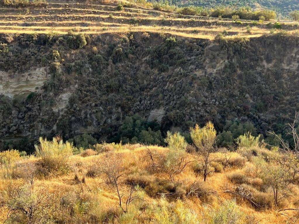 Finca/Maison de Campagne à vendre à El Valle - 19 000 € (Ref: 7336140)