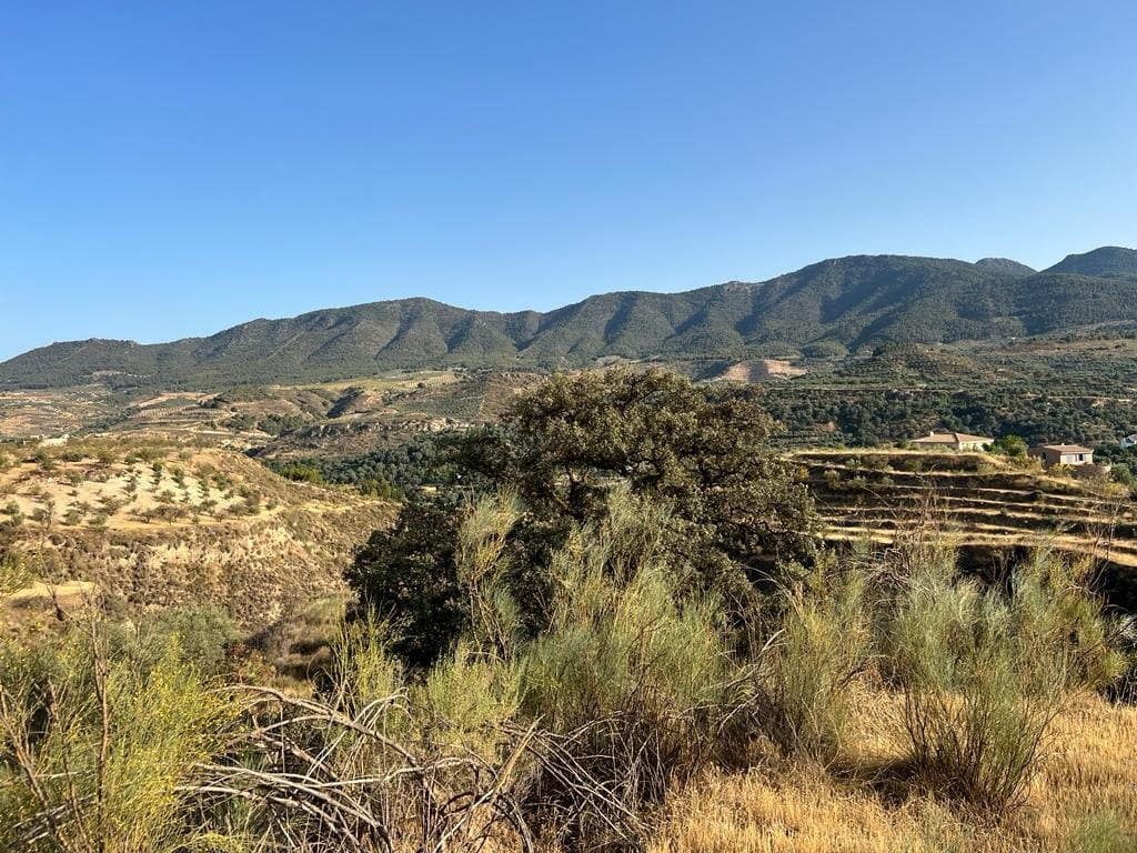 Finca/Maison de Campagne à vendre à El Valle - 19 000 € (Ref: 7336140)