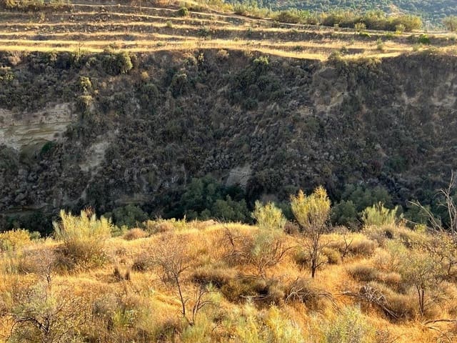 Finca/Landehus til salg i El Valle - € 19.000 (Ref: 7336140)