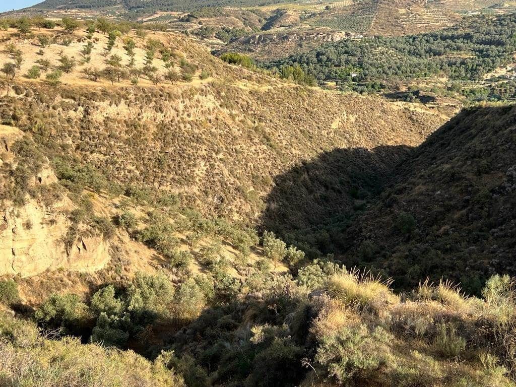 Finca/Maison de Campagne à vendre à El Valle - 19 000 € (Ref: 7336140)