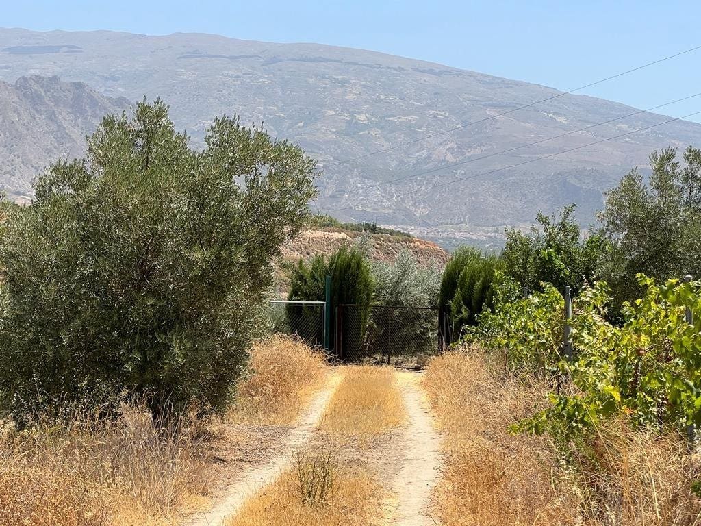 Finca/Maison de Campagne à vendre à Cozvijar - 19 000 € (Ref: 7365137)