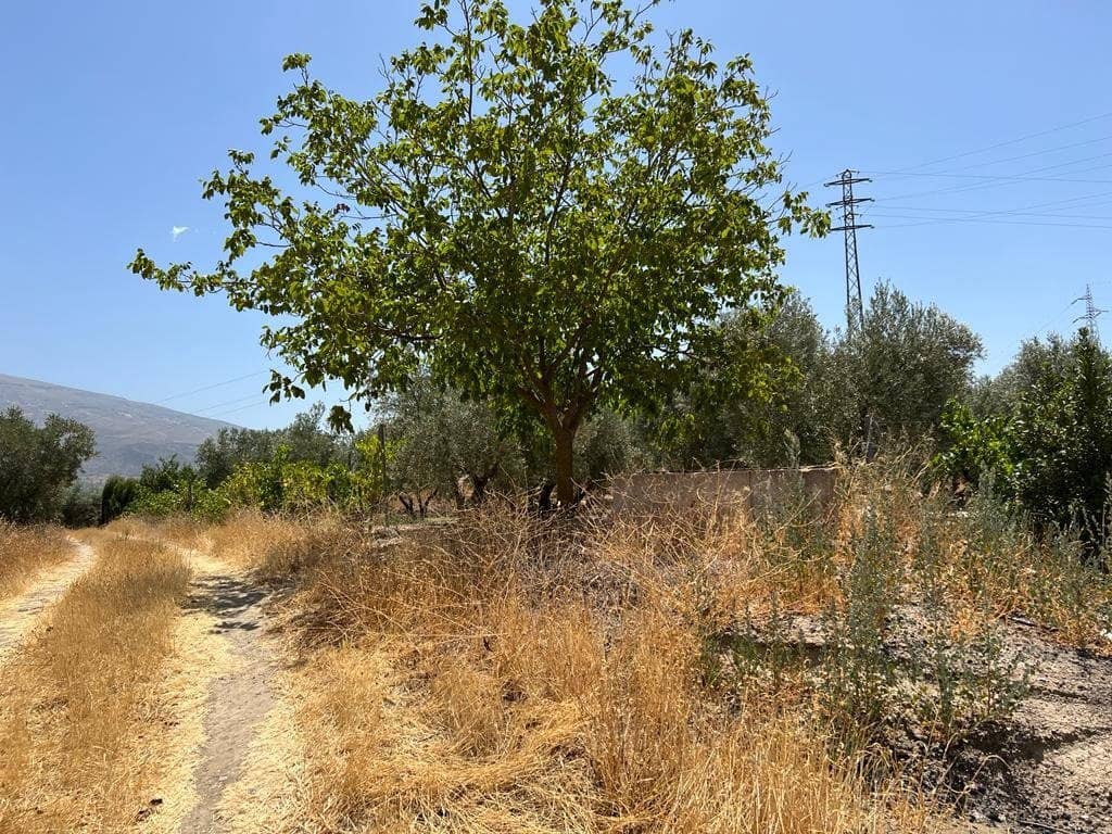 Finca/Maison de Campagne à vendre à Cozvijar - 19 000 € (Ref: 7365137)