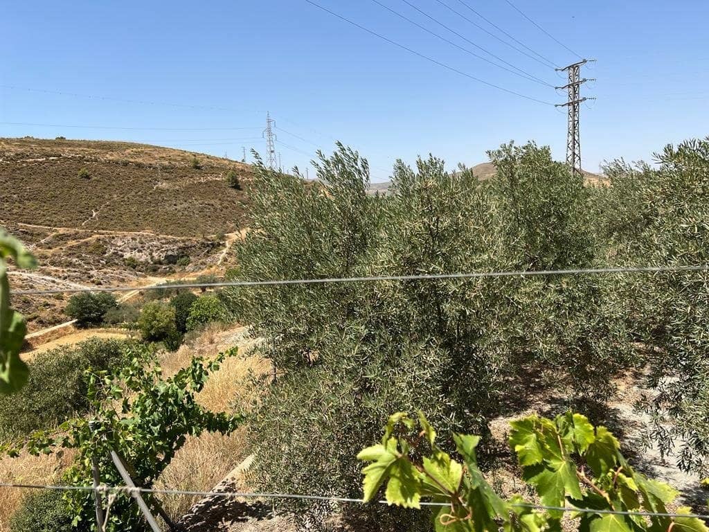 Finca/Maison de Campagne à vendre à Cozvijar - 19 000 € (Ref: 7365137)