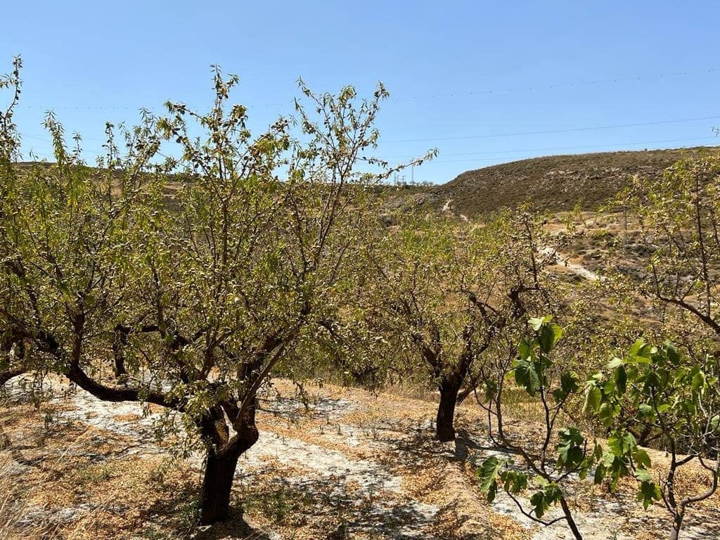 Finca/Maison de Campagne à vendre à Cozvijar - 19 000 € (Ref: 7365137)