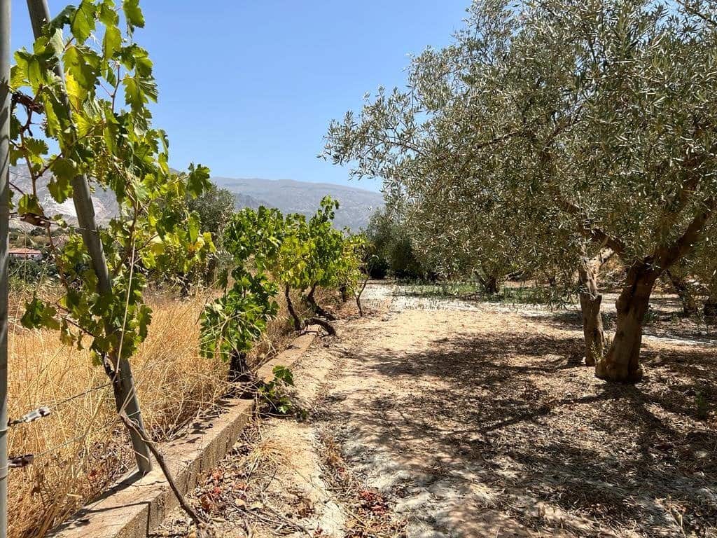 Finca/Maison de Campagne à vendre à Cozvijar - 19 000 € (Ref: 7365137)