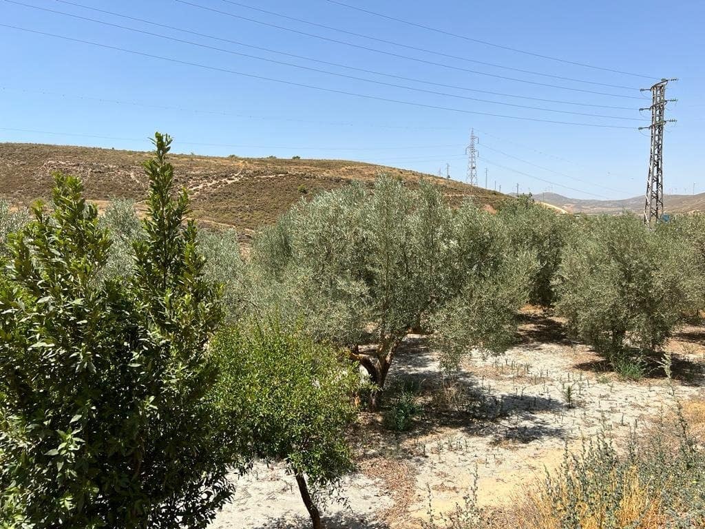 Finca/Maison de Campagne à vendre à Cozvijar - 19 000 € (Ref: 7365137)