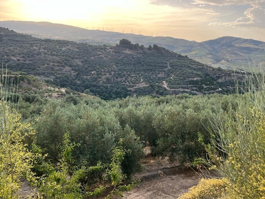 Finca/Maison de Campagne à vendre à Restabal - 75 000 € (Ref: 7365143)