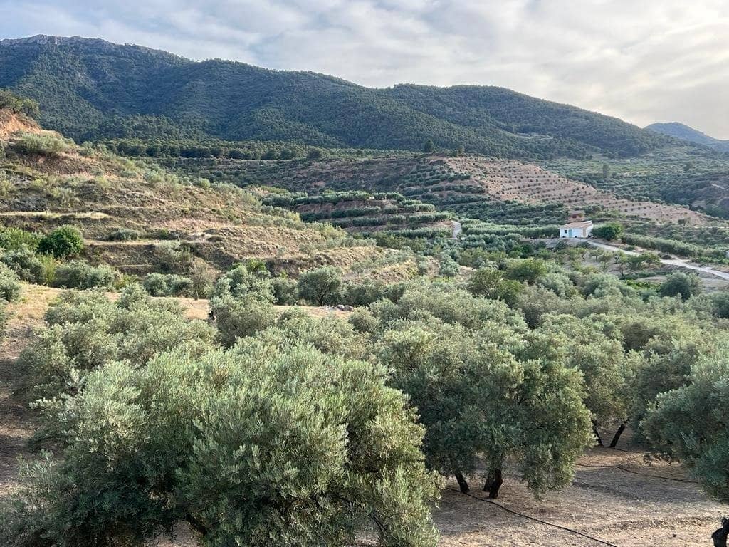 Finca/Maison de Campagne à vendre à Restabal - 75 000 € (Ref: 7365143)