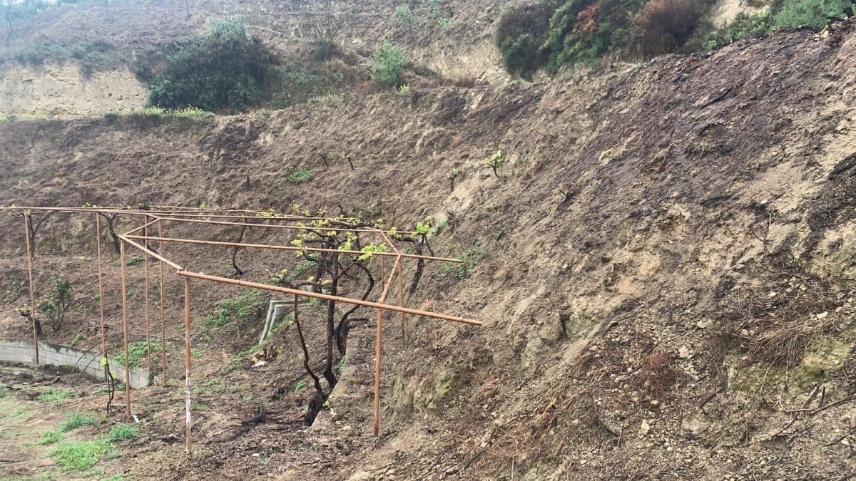 Finca/Maison de Campagne à vendre à El Valle - 53 900 € (Ref: 7365159)