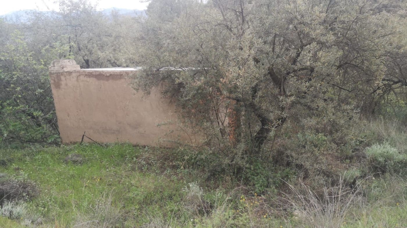 Finca/Landehus til salg i El Valle - € 30.999 (Ref: 7365162)