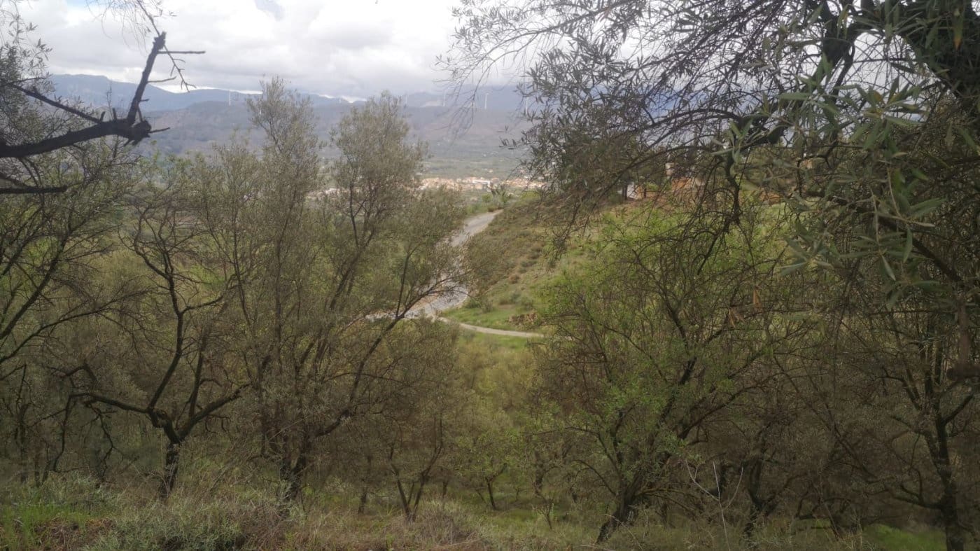 Finca/Landehus til salg i El Valle - € 30.999 (Ref: 7365162)