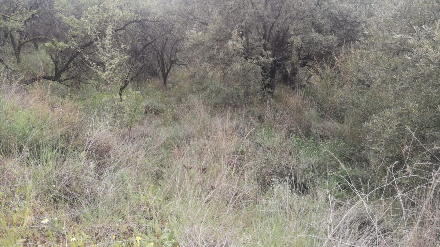 Finca/Landehus til salg i El Valle - € 30.999 (Ref: 7365162)