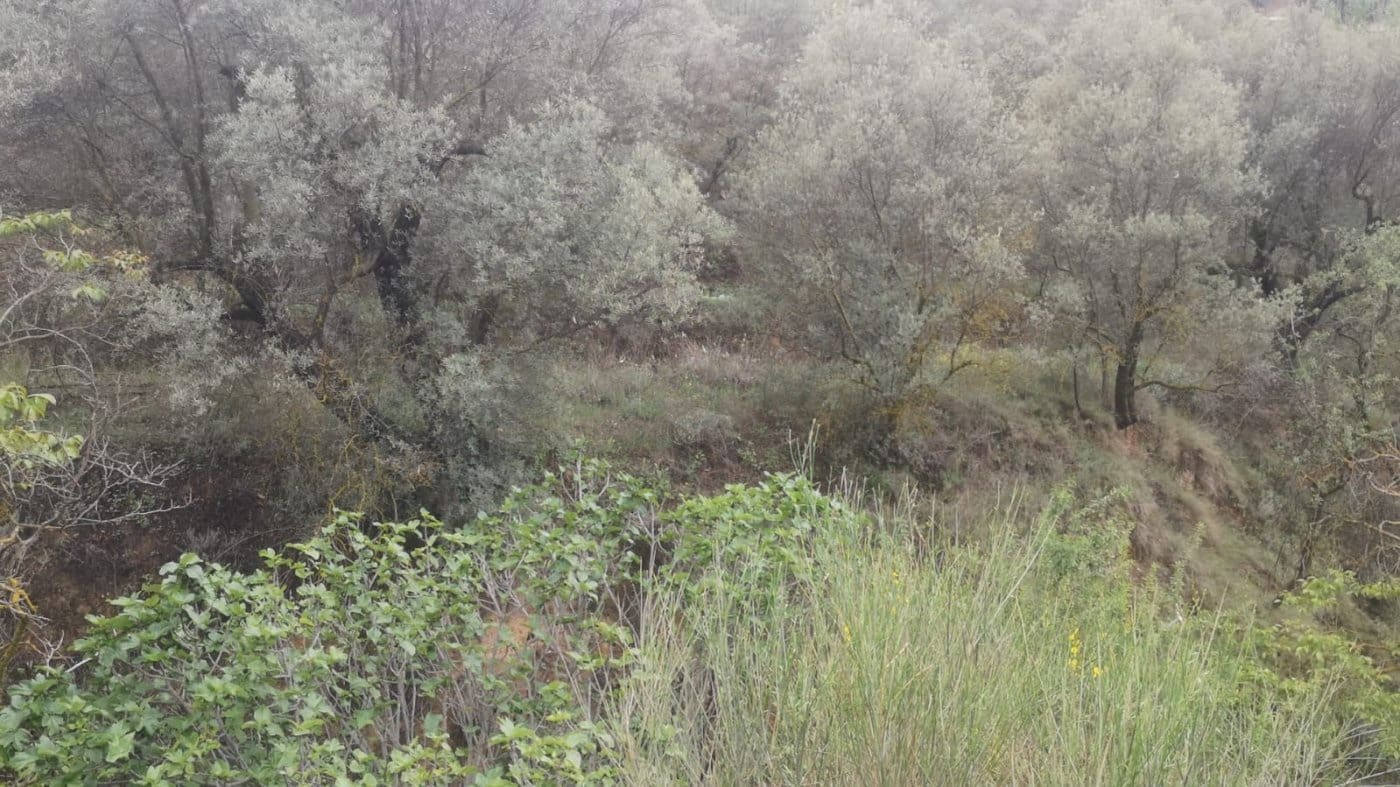 Finca/Landehus til salg i El Valle - € 30.999 (Ref: 7365162)