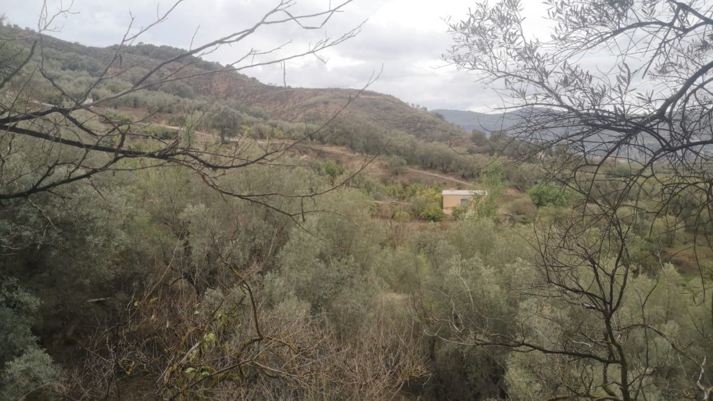 Finca/Landehus til salg i El Valle - € 30.999 (Ref: 7365162)