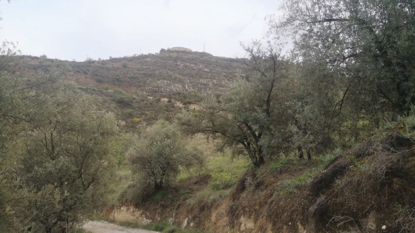 Finca/Landehus til salg i El Valle - € 30.999 (Ref: 7365162)