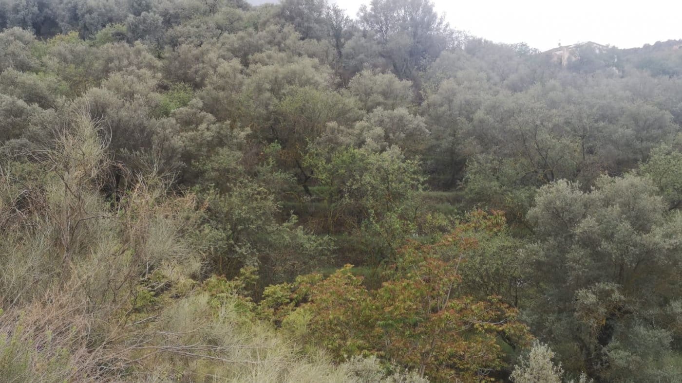 Finca/Landehus til salg i El Valle - € 30.999 (Ref: 7365162)