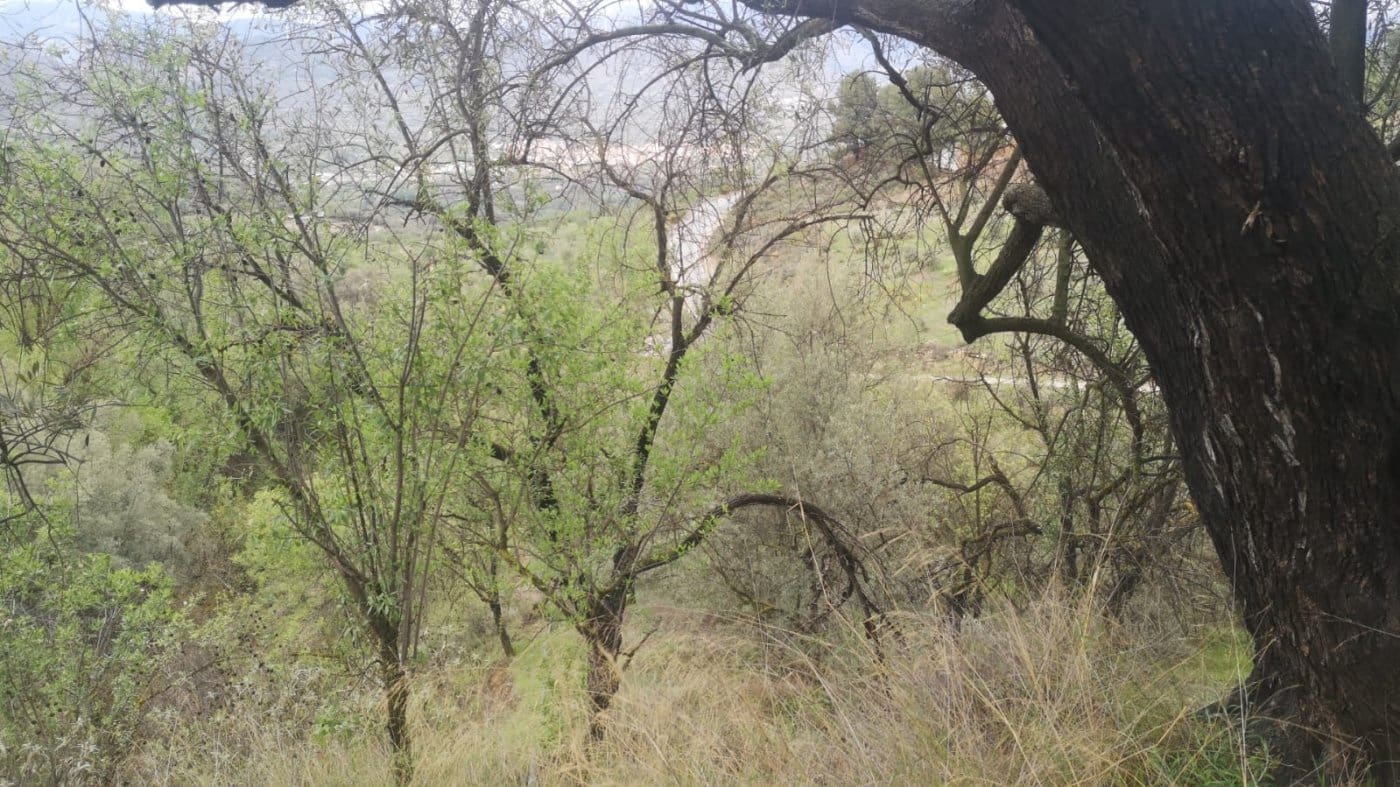 Finca/Landehus til salg i El Valle - € 30.999 (Ref: 7365162)