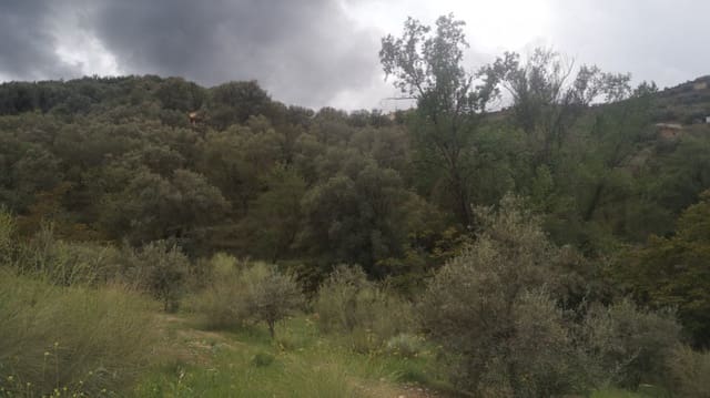 Finca/Landehus til salg i El Valle - € 30.999 (Ref: 7365162)