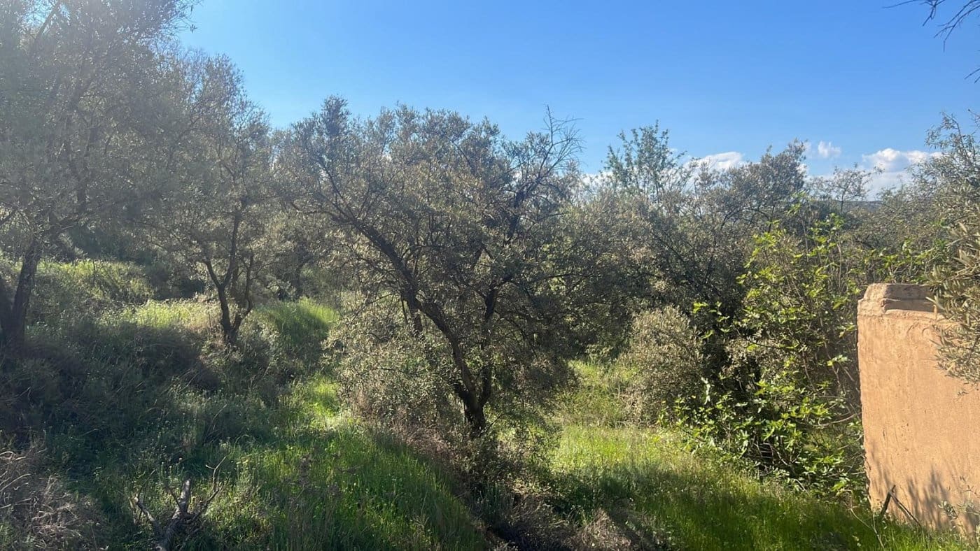 Finca/Landehus til salg i El Valle - € 30.999 (Ref: 7365162)