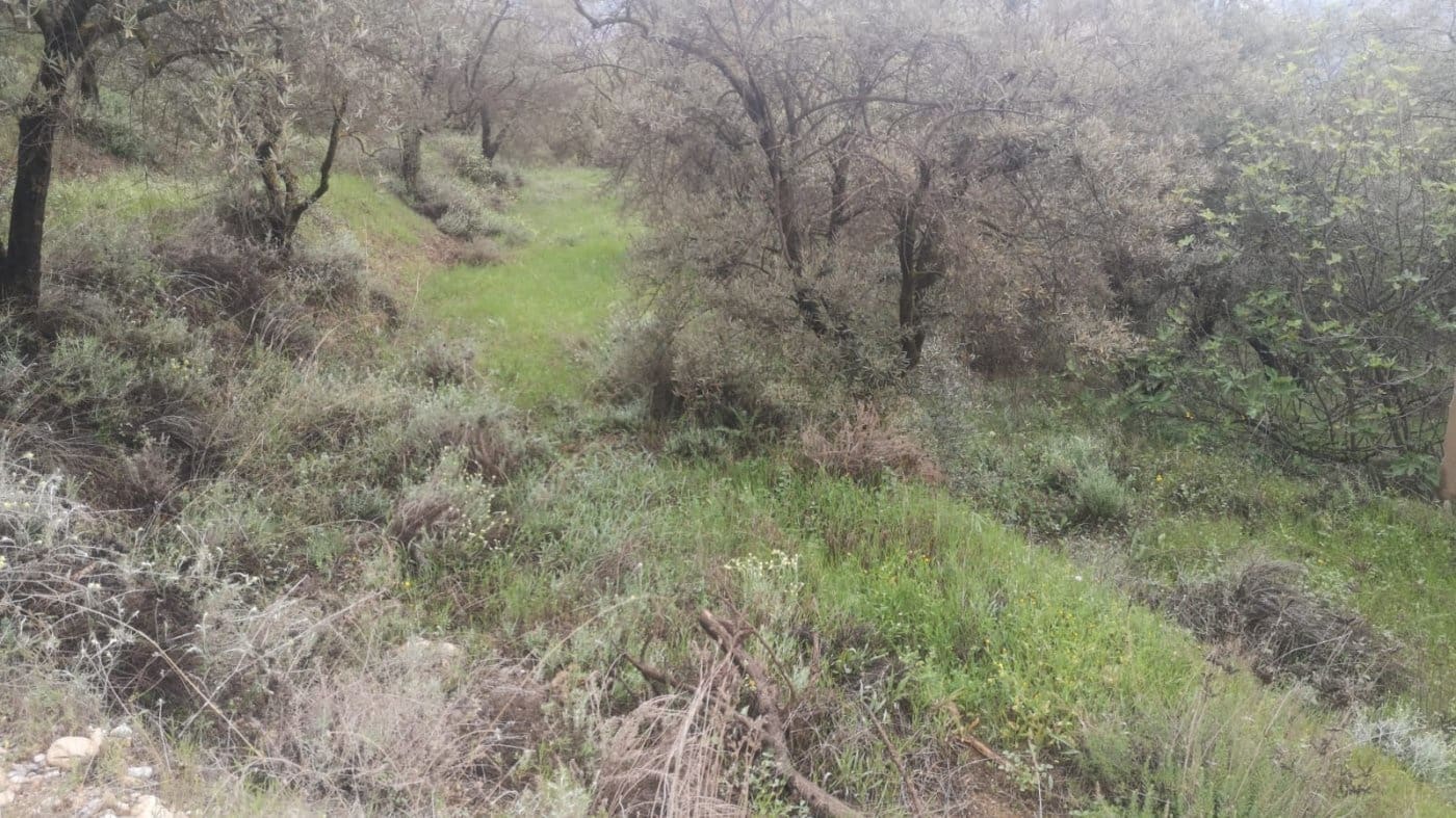 Finca/Landehus til salg i El Valle - € 30.999 (Ref: 7365162)