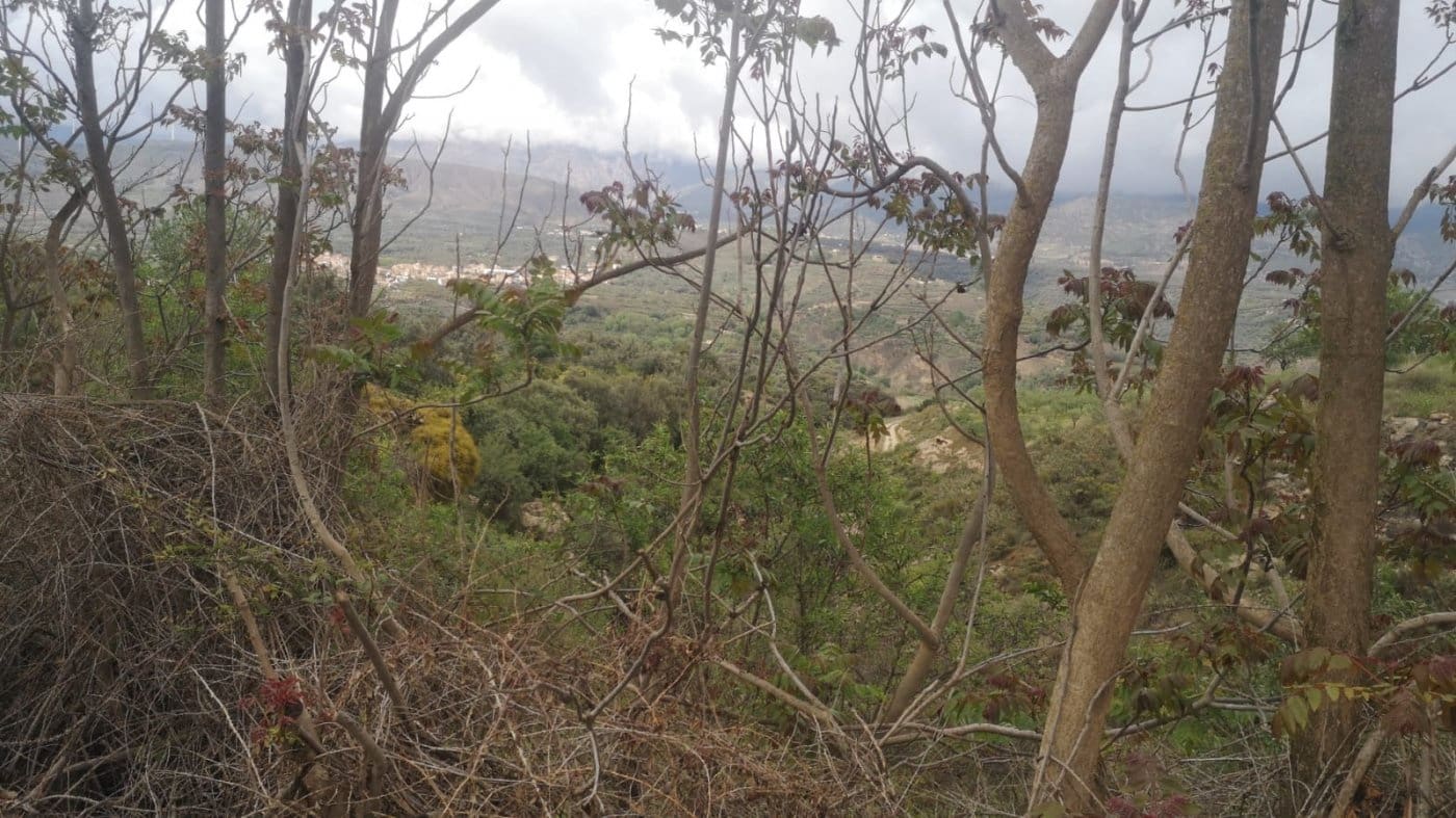 Finca/Landehus til salg i El Valle - € 30.999 (Ref: 7365162)