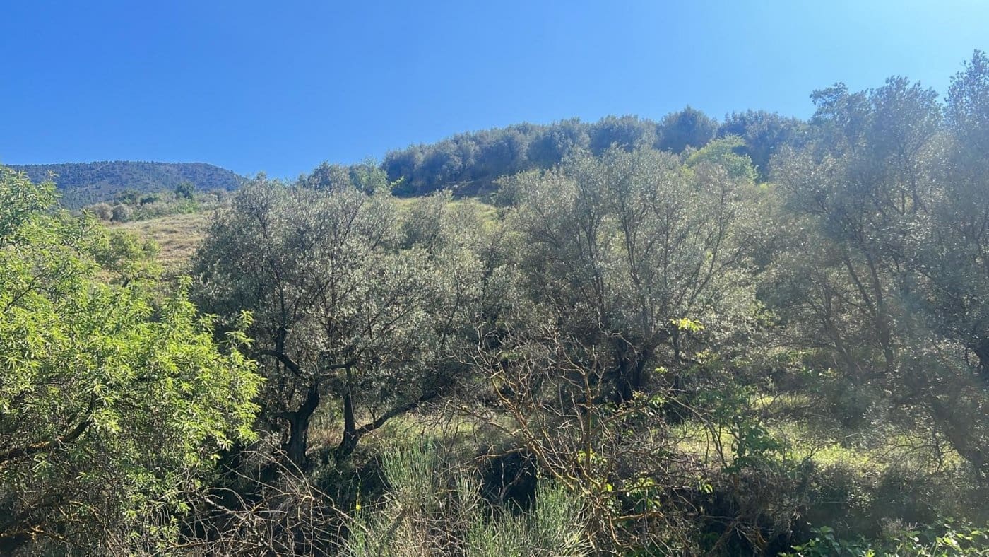 Finca/Landehus til salg i El Valle - € 30.999 (Ref: 7365162)