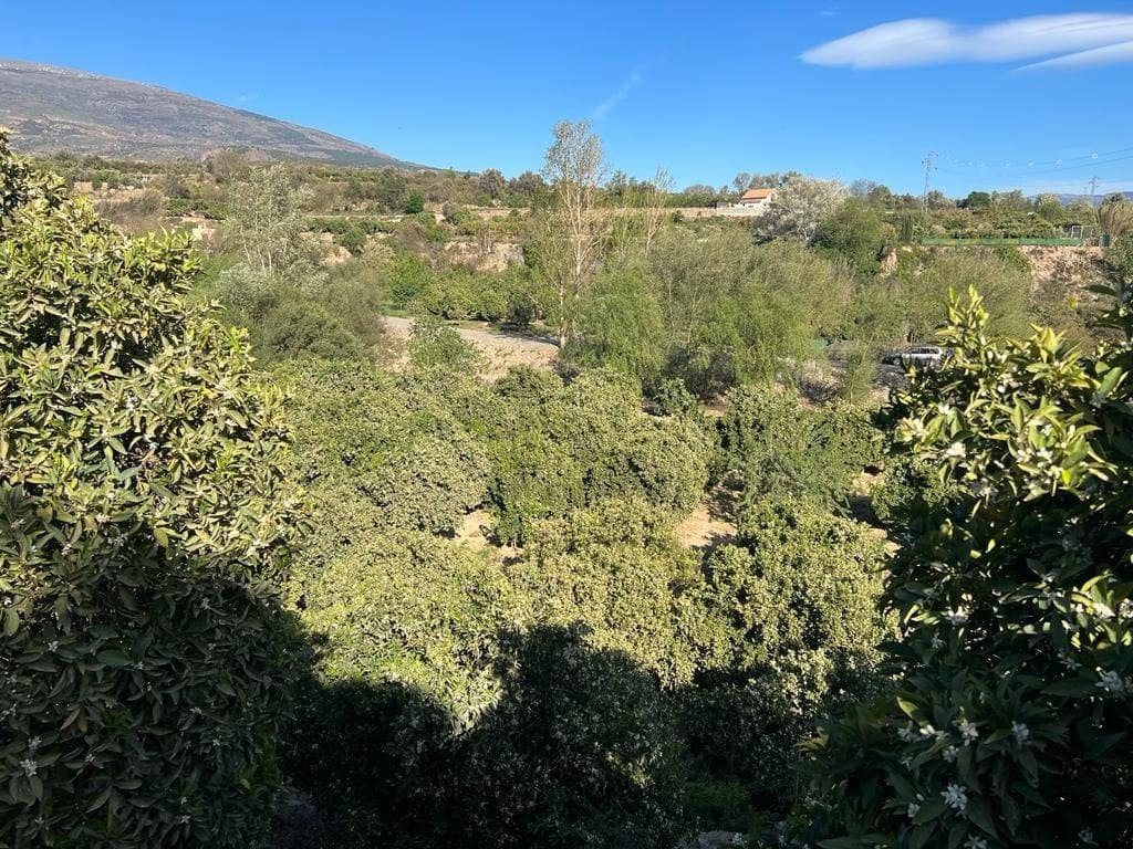 Działka budowlana na sprzedaż w El Valle - 42 000 € (Ref: 7365165)