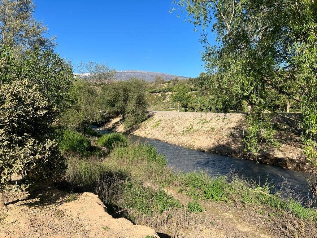 Działka budowlana na sprzedaż w El Valle - 42 000 € (Ref: 7365165)