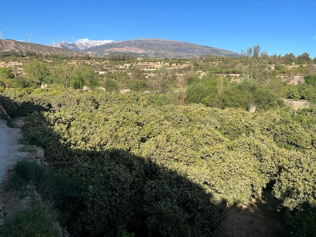 Działka budowlana na sprzedaż w El Valle - 42 000 € (Ref: 7365165)