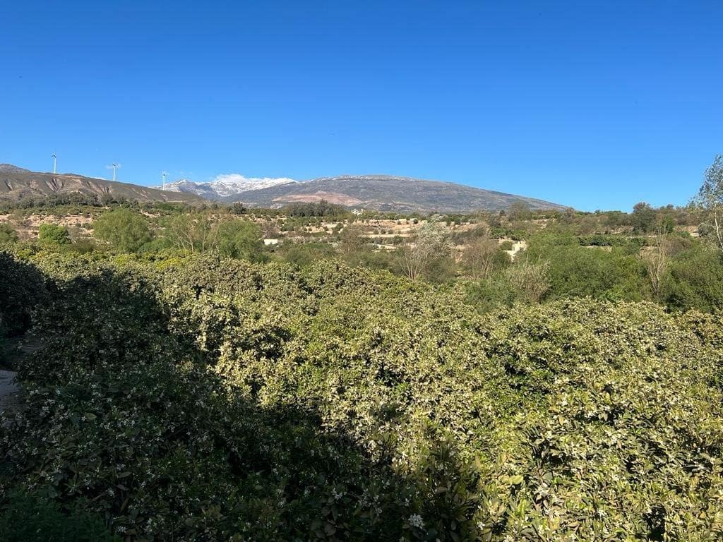 Działka budowlana na sprzedaż w El Valle - 42 000 € (Ref: 7365165)