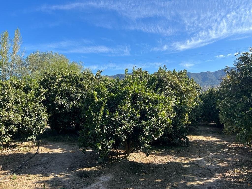 Działka budowlana na sprzedaż w El Valle - 42 000 € (Ref: 7365165)