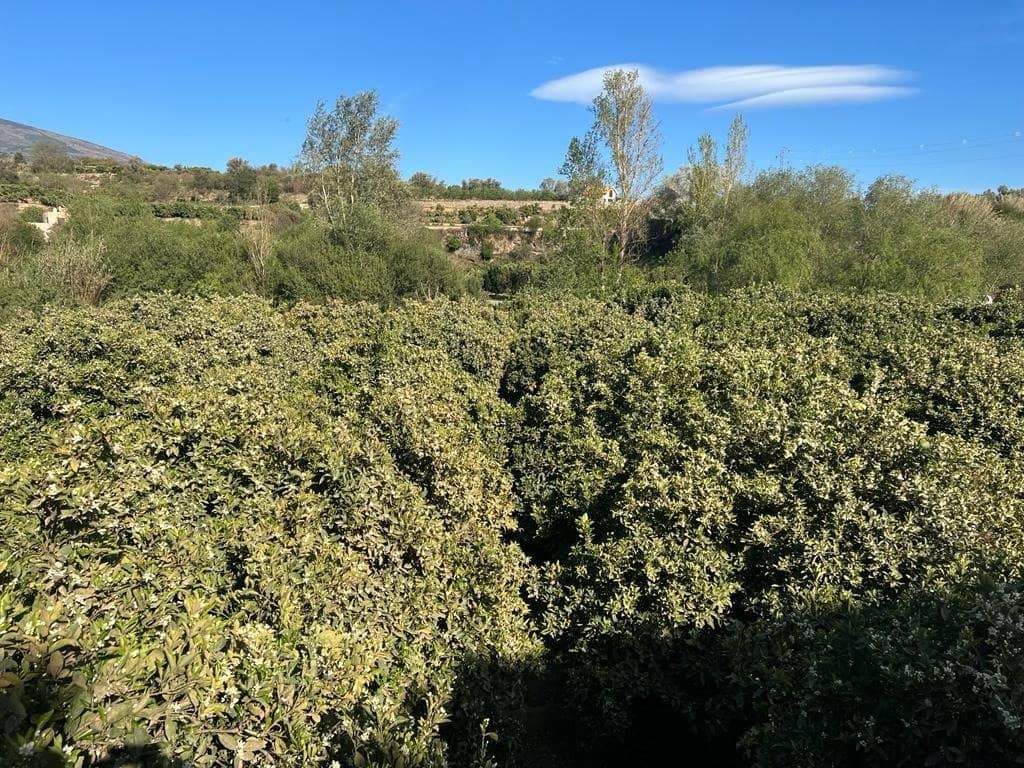 Działka budowlana na sprzedaż w El Valle - 42 000 € (Ref: 7365165)