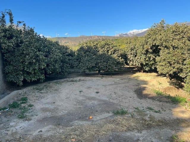 Działka budowlana na sprzedaż w El Valle - 42 000 € (Ref: 7365165)