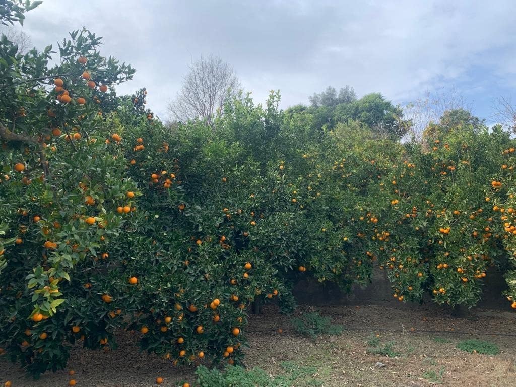 Finca/Herregård til salgs i Lecrin - € 56 000 (Ref: 7367243)