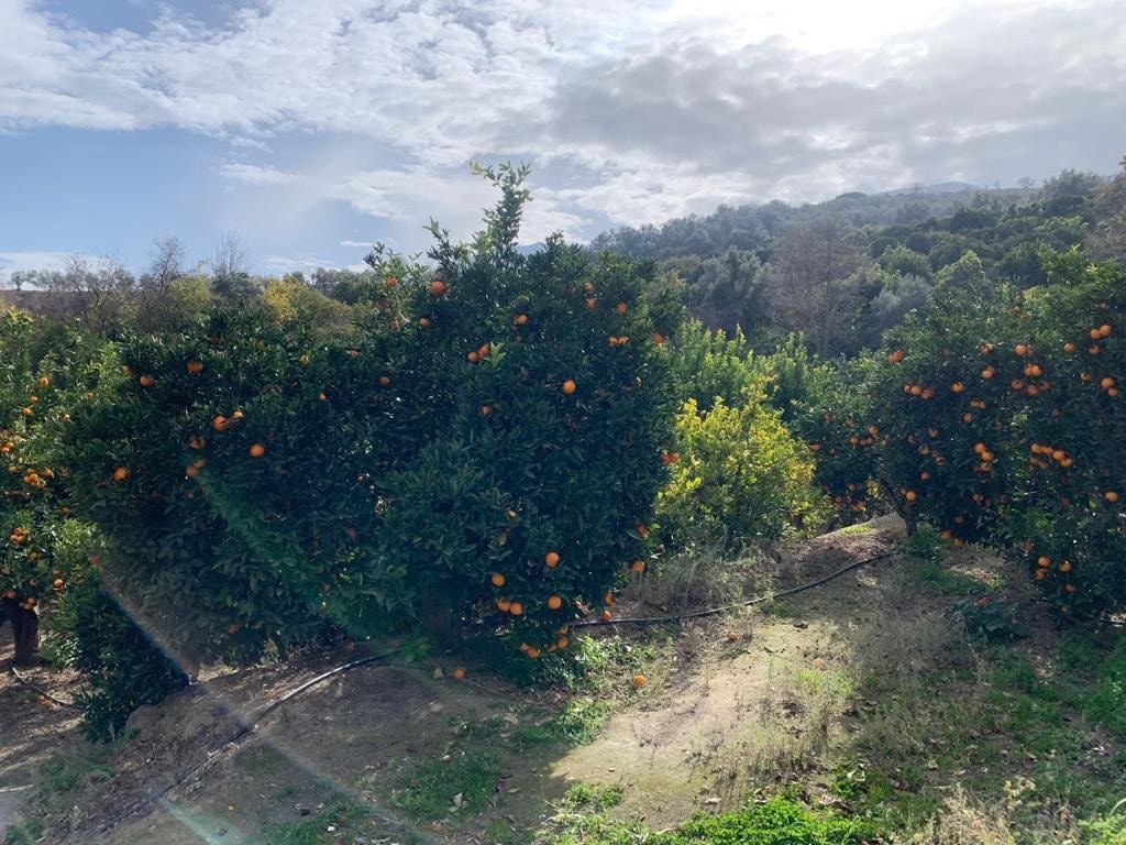 Finca/Herregård til salgs i Lecrin - € 56 000 (Ref: 7367243)