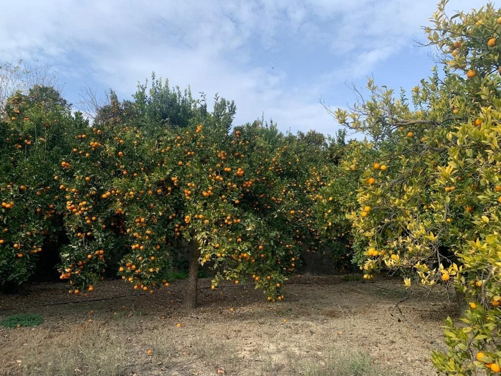 Finca/Herregård til salgs i Lecrin - € 56 000 (Ref: 7367243)